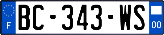 BC-343-WS
