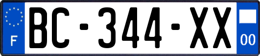 BC-344-XX