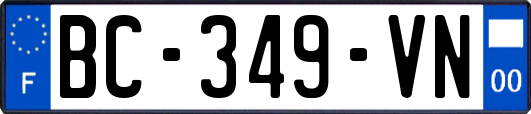 BC-349-VN