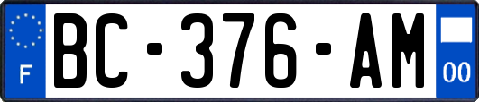 BC-376-AM