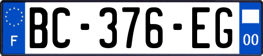 BC-376-EG
