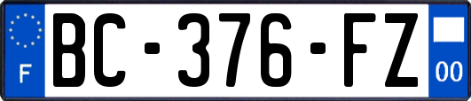 BC-376-FZ