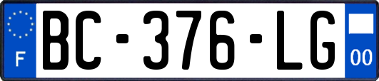 BC-376-LG
