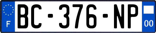 BC-376-NP