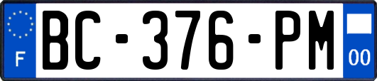 BC-376-PM