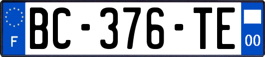 BC-376-TE