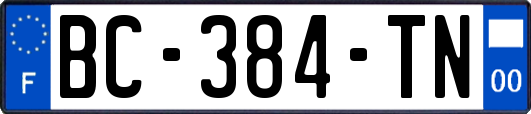 BC-384-TN