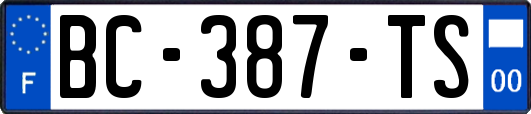 BC-387-TS