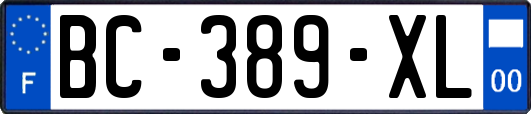 BC-389-XL