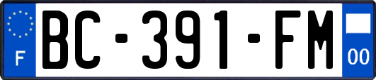 BC-391-FM