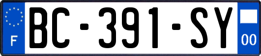 BC-391-SY