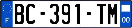 BC-391-TM