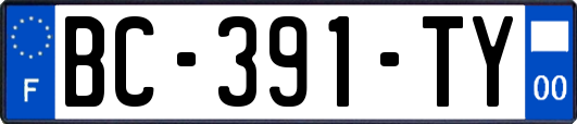 BC-391-TY