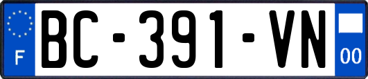BC-391-VN