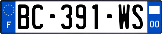 BC-391-WS