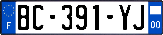 BC-391-YJ