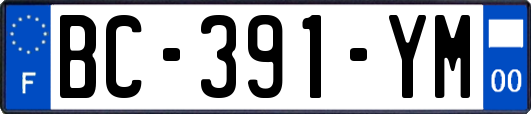 BC-391-YM