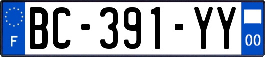 BC-391-YY