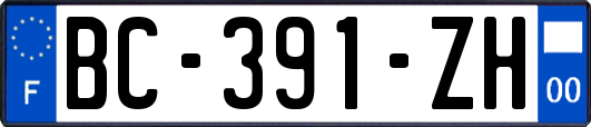 BC-391-ZH