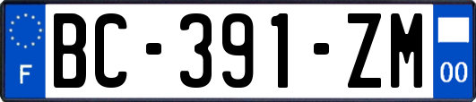 BC-391-ZM