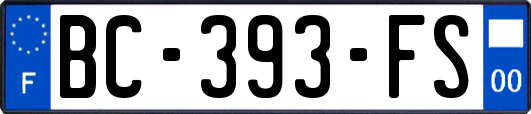 BC-393-FS