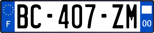 BC-407-ZM