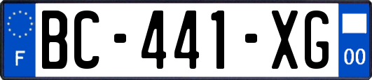 BC-441-XG