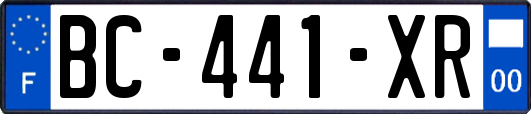 BC-441-XR