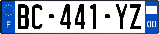 BC-441-YZ