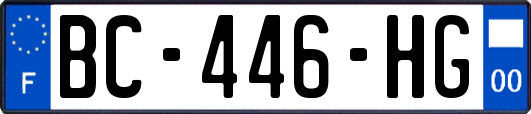 BC-446-HG