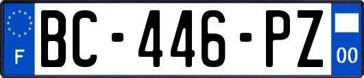 BC-446-PZ