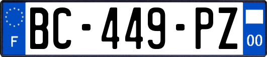 BC-449-PZ
