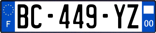 BC-449-YZ