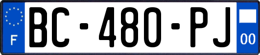 BC-480-PJ