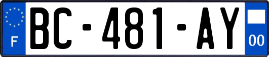 BC-481-AY