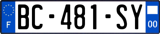 BC-481-SY