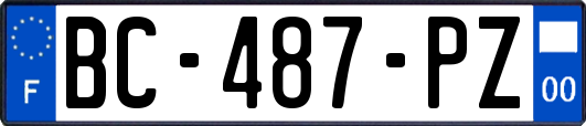 BC-487-PZ