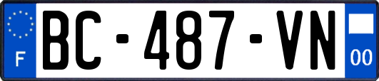 BC-487-VN