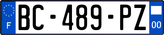 BC-489-PZ