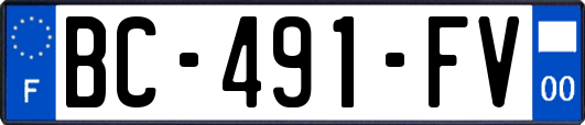 BC-491-FV