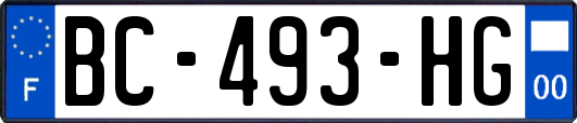 BC-493-HG