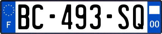 BC-493-SQ