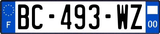 BC-493-WZ