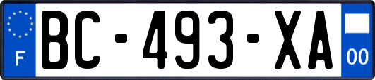 BC-493-XA