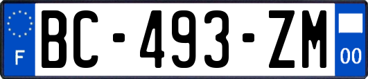 BC-493-ZM