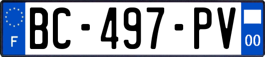 BC-497-PV