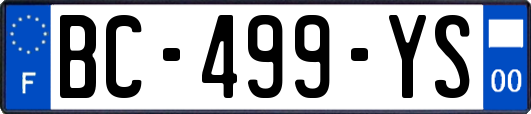 BC-499-YS