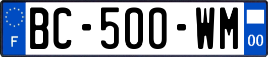 BC-500-WM