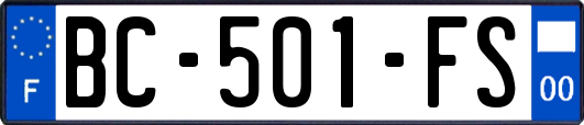 BC-501-FS