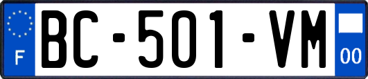 BC-501-VM